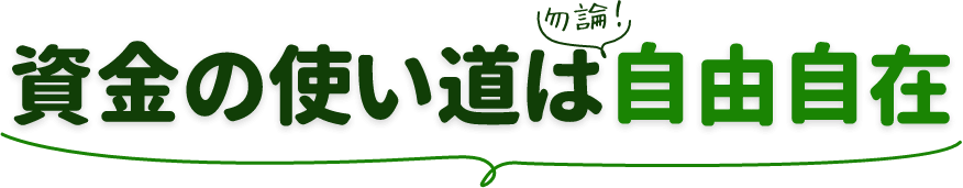 資金の使い道は勿論！自由自在